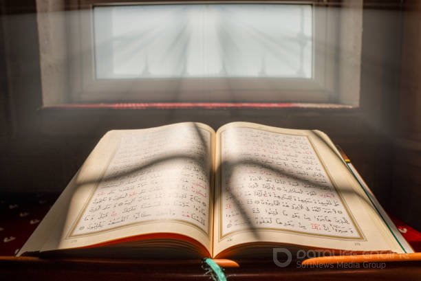 Читать книги онлайн бесплатно без регистрации booksread-online.com